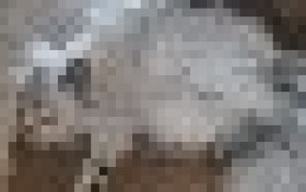 爱肯拿美版和加版什么区别