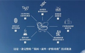 茧迹：以东方蚕丝科技，探索护肤自主发展新路径